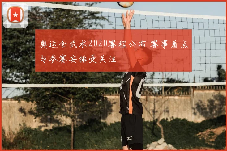 奥运会武术2020赛程公布 赛事看点与参赛安排受关注