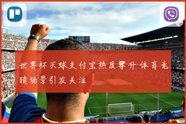 世界杯买球支付宝热度攀升 体育竞猜场景引发关注
