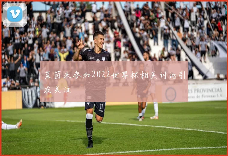 莱茵未参加2022世界杯相关讨论引发关注